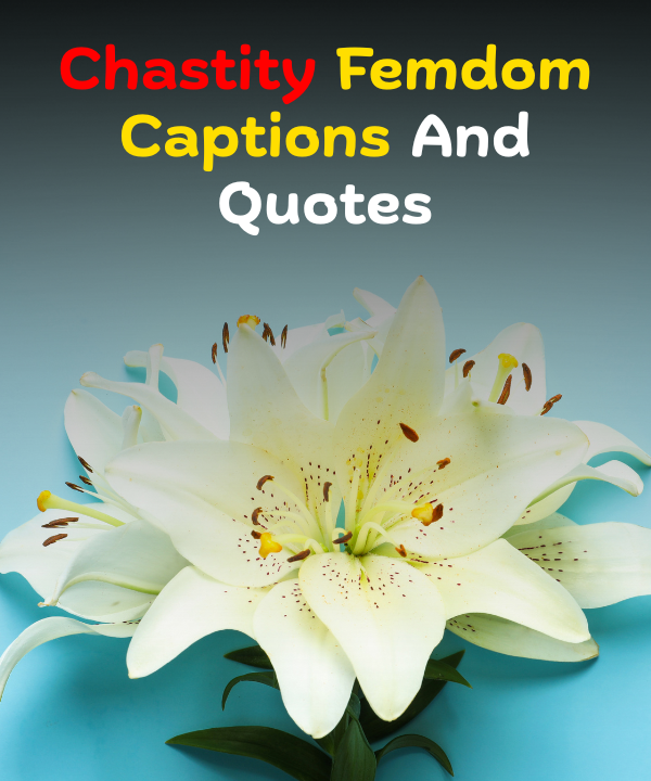 Chastity Femdom Captions And Quotes