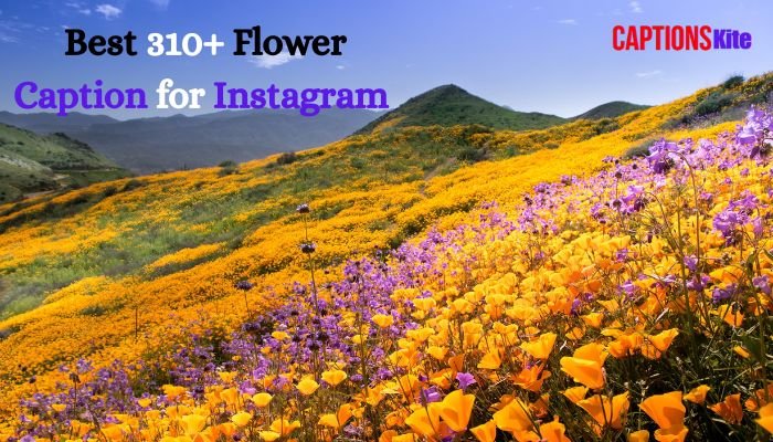 Best 310+ Flower Caption for Instagram