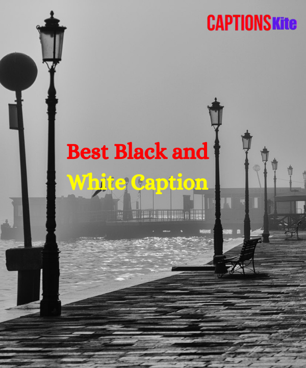 Best Black and White Caption