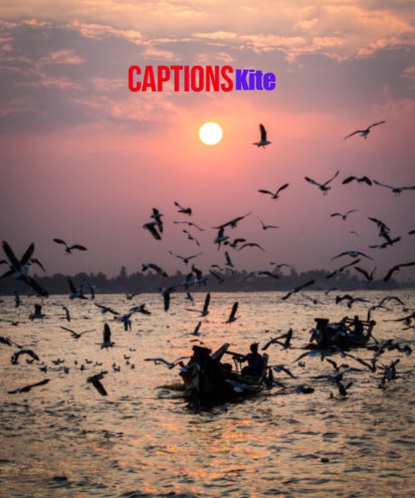 100+ Best Bangla Captions for Instagram