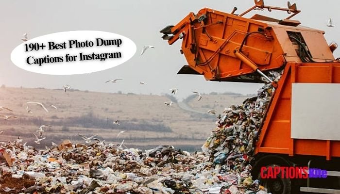 190+ Best Photo Dump Captions for Instagram