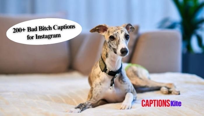 200+ Bad Bitch Captions for Instagram