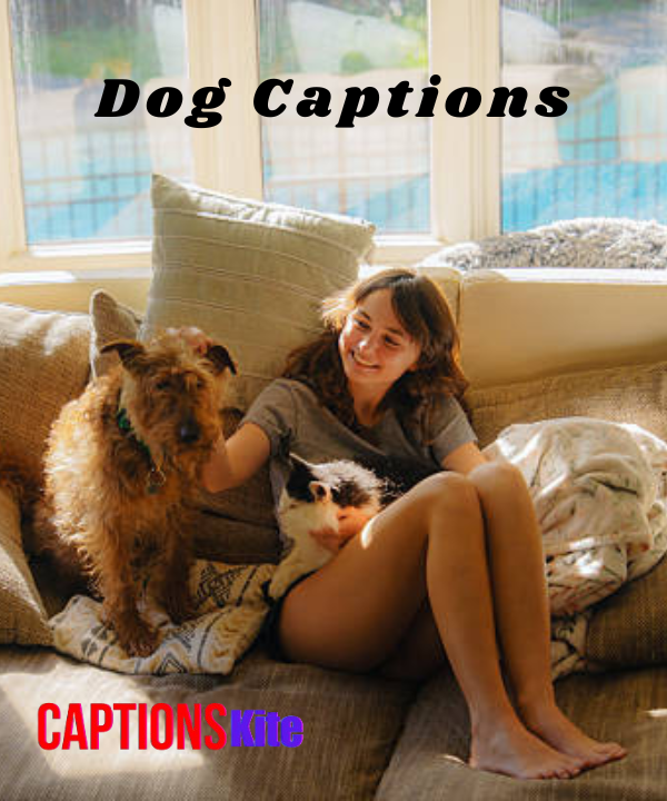 200+ Dog Captions for Instagram
