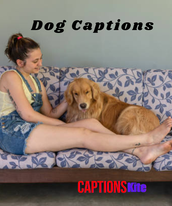 200+ Dog Captions for Instagram