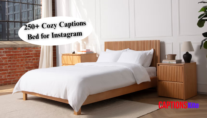 250+ Cozy Captions Bed for Instagram