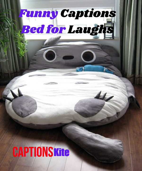 Funny Captions Bed for Laughs