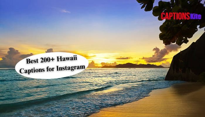 Best 200+ Hawaii Captions for Instagram