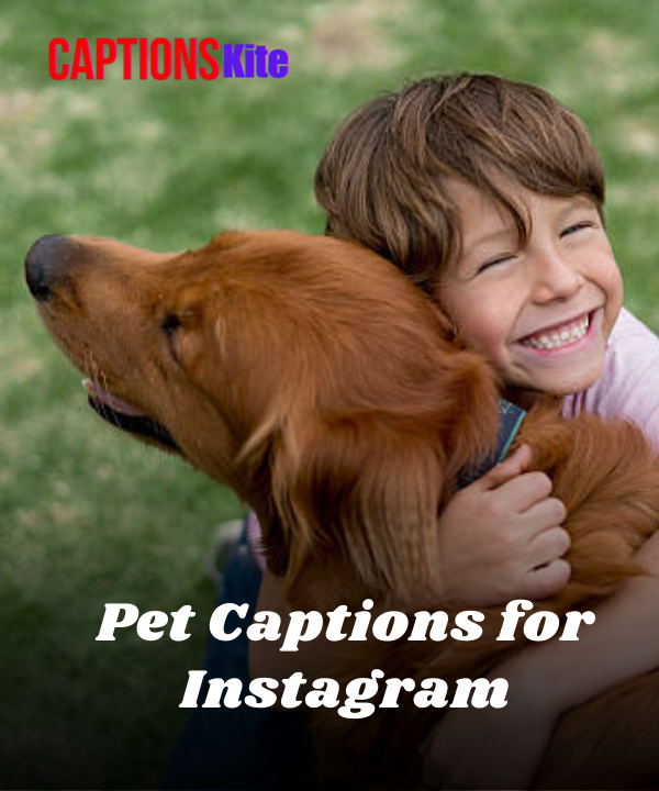 250+ Best Pet Captions for Instagram