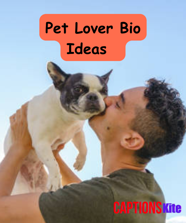 Best Pet Lover Bio Ideas for Instagram 2025